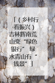 （乡村行·看振兴）吉林辉南荒山变“绿色银行” 绿水青山有“钱景”