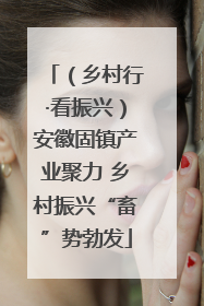 （乡村行·看振兴）安徽固镇产业聚力 乡村振兴“畜”势勃发