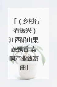 （乡村行·看振兴）江西铅山果蔬飘香 奏响产业致富曲