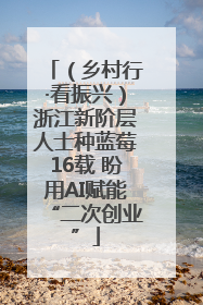 （乡村行·看振兴）浙江新阶层人士种蓝莓16载 盼用AI赋能“二次创业”