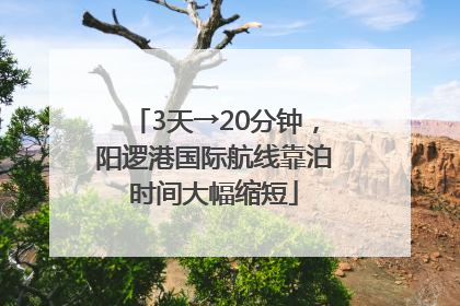 3天→20分钟，阳逻港国际航线靠泊时间大幅缩短