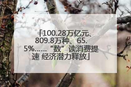100.28万亿元、809.8万种、65.5%……“数”读消费提速 经济潜力释放