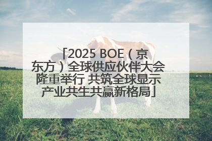 2025 BOE（京东方）全球供应伙伴大会隆重举行 共筑全球显示产业共生共赢新格局