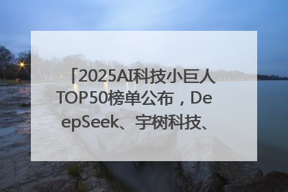 2025AI科技小巨人TOP50榜单公布，DeepSeek、宇树科技、蘑菇车联等企业荣誉上榜