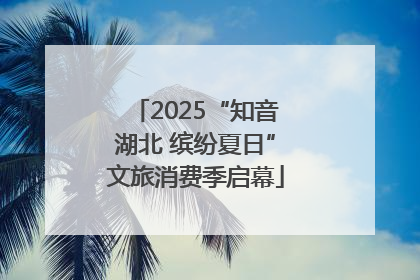 2025“知音湖北 缤纷夏日”文旅消费季启幕