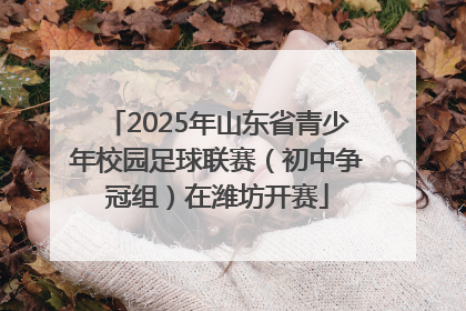 2025年山东省青少年校园足球联赛（初中争冠组）在潍坊开赛