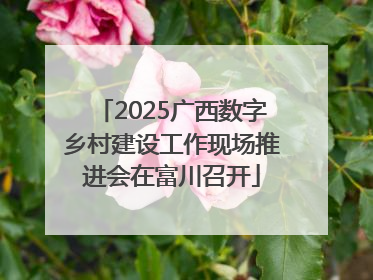 2025广西数字乡村建设工作现场推进会在富川召开