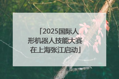 2025国际人形机器人技能大赛在上海张江启动