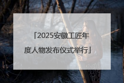 2025安徽工匠年度人物发布仪式举行