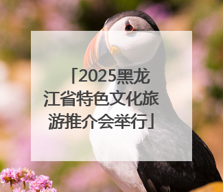 2025黑龙江省特色文化旅游推介会举行