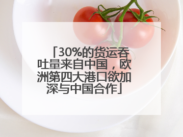 30%的货运吞吐量来自中国，欧洲第四大港口欲加深与中国合作