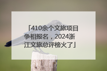 410余个文旅项目争相报名，2024浙江文旅总评榜火了