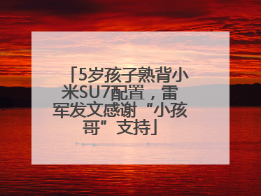 5岁孩子熟背小米SU7配置，雷军发文感谢“小孩哥”支持