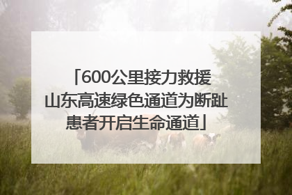 600公里接力救援 山东高速绿色通道为断趾患者开启生命通道