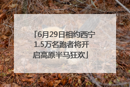 6月29日相约西宁 1.5万名跑者将开启高原半马狂欢
