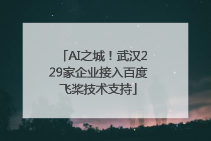 AI之城！武汉229家企业接入百度飞桨技术支持