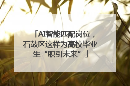 AI智能匹配岗位，石鼓区这样为高校毕业生“职引未来”
