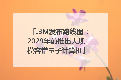 IBM发布路线图：2029年前推出大规模容错量子计算机